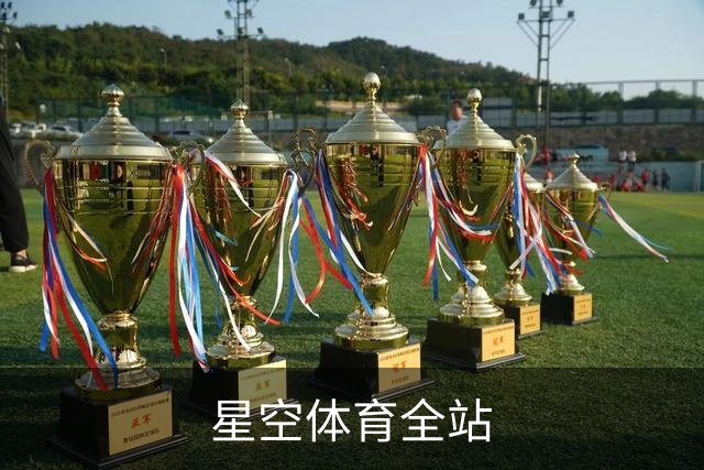 星空体育全站公司展示图